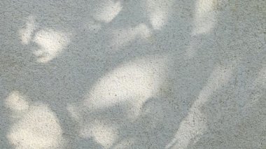 Duvarda gölgeler bırakır, Chiangmai Tayland açıklarında.