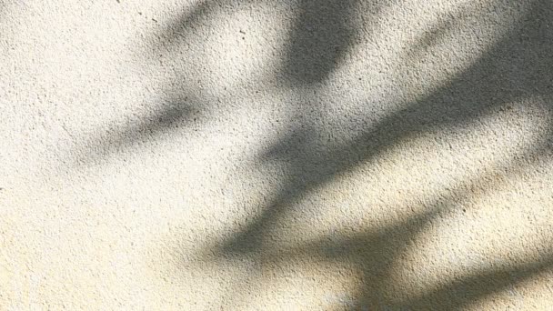 壁に影を残し 屋外チェンマイタイ — ストック動画