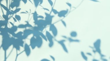 Duvarda gölgeler bırakır, Chiangmai Tayland açıklarında.