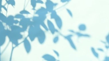 Duvarda gölgeler bırakır, Chiangmai Tayland açıklarında.