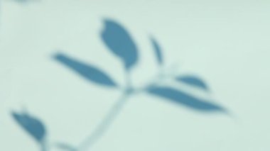 Duvarda gölgeler bırakır, Chiangmai Tayland açıklarında.