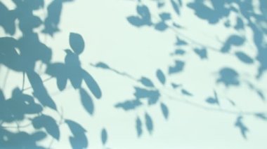 Duvarda gölgeler bırakır, Chiangmai Tayland açıklarında.