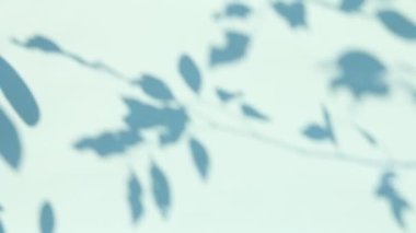 Duvarda gölgeler bırakır, Chiangmai Tayland açıklarında.