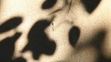 Duvarda gölgeler bırakır, Chiangmai Tayland açıklarında.