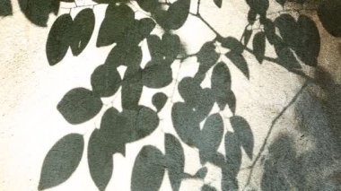 Duvarda gölgeler bırakır, Chiangmai Tayland açıklarında.