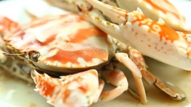 Stüdyo Chiangmai Tayland 'da, tabakta misk yengeci.