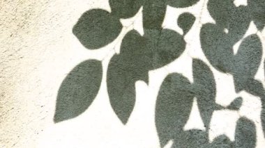 Duvarda gölgeler bırakır, Chiangmai Tayland açıklarında.