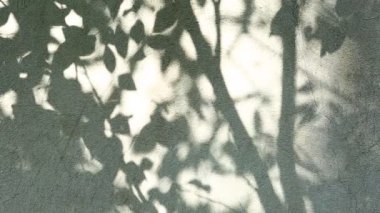 Duvarda gölgeler bırakır, Chiangmai Tayland açıklarında.