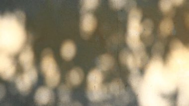 Duvarda gölgeler bırakır, Chiangmai Tayland açıklarında.