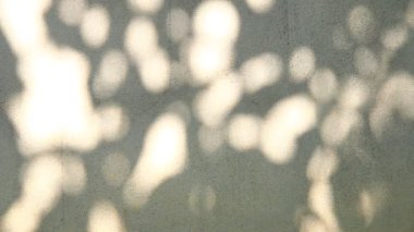 Duvarda gölgeler bırakır, Chiangmai Tayland açıklarında.