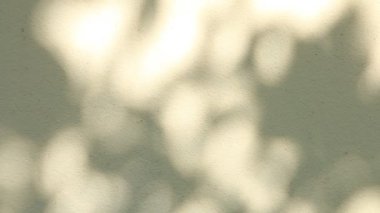 Duvarda gölgeler bırakır, Chiangmai Tayland açıklarında.