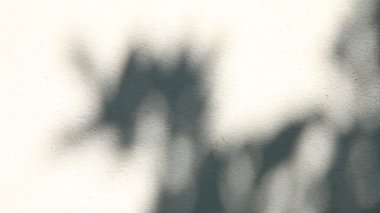 Duvarda gölgeler bırakır, Chiangmai Tayland açıklarında.