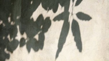 Duvarda gölgeler bırakır, Chiangmai Tayland açıklarında.