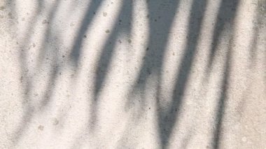 Duvarda gölgeler bırakır, Chiangmai Tayland açıklarında.