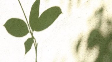 Duvarda gölgeler bırakır, Chiangmai Tayland açıklarında.