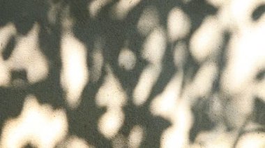 Duvarda gölgeler bırakır, Chiangmai Tayland açıklarında.