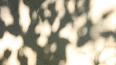 Duvarda gölgeler bırakır, Chiangmai Tayland açıklarında.