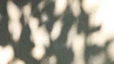 Duvarda gölgeler bırakır, Chiangmai Tayland açıklarında.