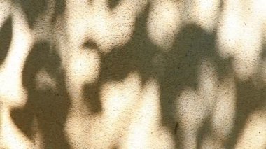 Duvarda gölgeler bırakır, Chiangmai Tayland açıklarında.