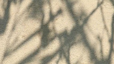 Duvarda gölgeler bırakır, Chiangmai Tayland açıklarında.