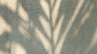 Duvarda gölgeler bırakır, Chiangmai Tayland açıklarında.