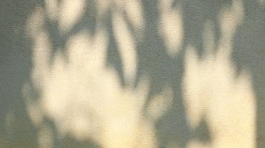 Duvarda gölgeler bırakır, Chiangmai Tayland açıklarında.