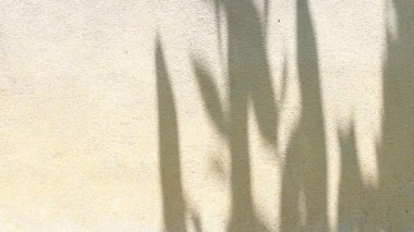 Duvarda gölgeler bırakır, Chiangmai Tayland açıklarında.