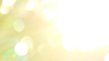 Gün ışığıyla hareket eden ağaç yaprakları, Chiangmai Tayland