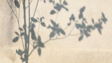 Duvarda gölgeler bırakır, Chiangmai Tayland açıklarında.