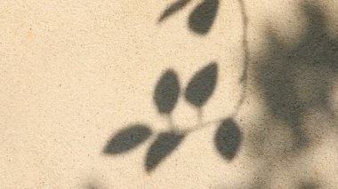 Duvarda gölgeler bırakır, Chiangmai Tayland açıklarında.