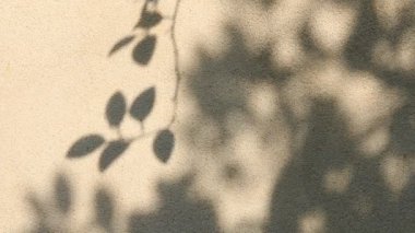 Duvarda gölgeler bırakır, Chiangmai Tayland açıklarında.