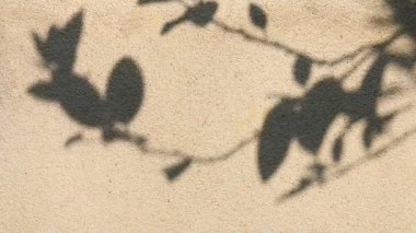 Duvarda gölgeler bırakır, Chiangmai Tayland açıklarında.