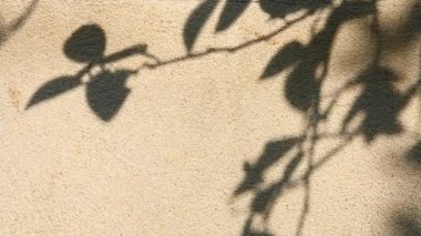 Duvarda gölgeler bırakır, Chiangmai Tayland açıklarında.