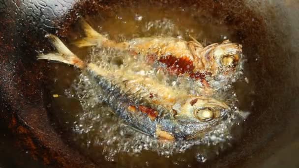 Ryby Ostroboka Patelni Chiangmai Tajlandia — Wideo stockowe
