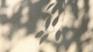 Duvarda gölgeler bırakır, Chiangmai Tayland açıklarında.