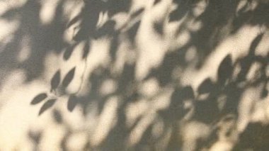 Duvarda gölgeler bırakır, Chiangmai Tayland açıklarında.