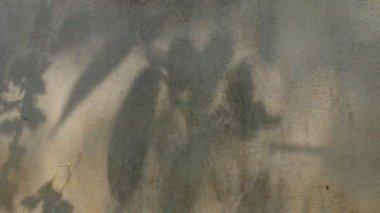 Duvarda gölgeler bırakır, Chiangmai Tayland açıklarında.