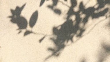 Duvarda gölgeler bırakır, Chiangmai Tayland açıklarında.