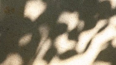 Duvarda gölgeler bırakır, Chiangmai Tayland açıklarında.