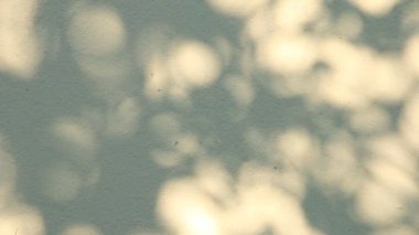 Duvarda gölgeler bırakır, Chiangmai Tayland açıklarında.