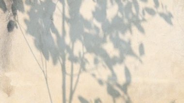 Duvarda gölgeler bırakır, Chiangmai Tayland açıklarında.