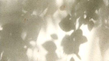 Duvarda gölgeler bırakır, Chiangmai Tayland açıklarında.