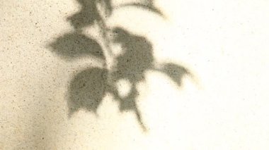 Duvarda gölgeler bırakır, Chiangmai Tayland açıklarında.