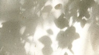 Duvarda gölgeler bırakır, Chiangmai Tayland açıklarında.