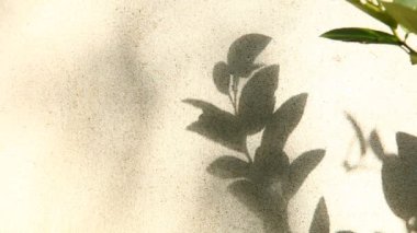 Duvarda gölgeler bırakır, Chiangmai Tayland açıklarında.