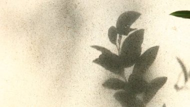 Duvarda gölgeler bırakır, Chiangmai Tayland açıklarında.