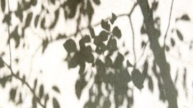 Duvarda gölgeler bırakır, Chiangmai Tayland açıklarında.