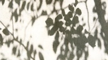 Duvarda gölgeler bırakır, Chiangmai Tayland açıklarında.