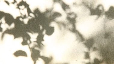 Duvarda gölgeler bırakır, Chiangmai Tayland açıklarında.