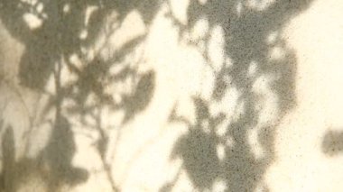 Duvarda gölgeler bırakır, Chiangmai Tayland açıklarında.